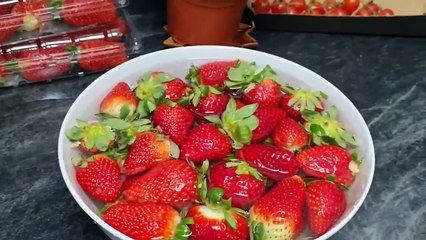 Recette Du Tiramasu Cake À La Fraise Inratable Et Très Facile