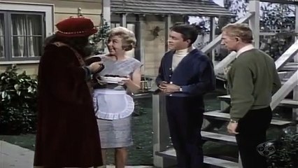 My Favorite Martian S1 E36 "Nose For News"