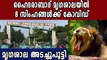 8 Lions Show COVID-19 Symptoms At Nehru Zoological Park | Oneindia Malayalam