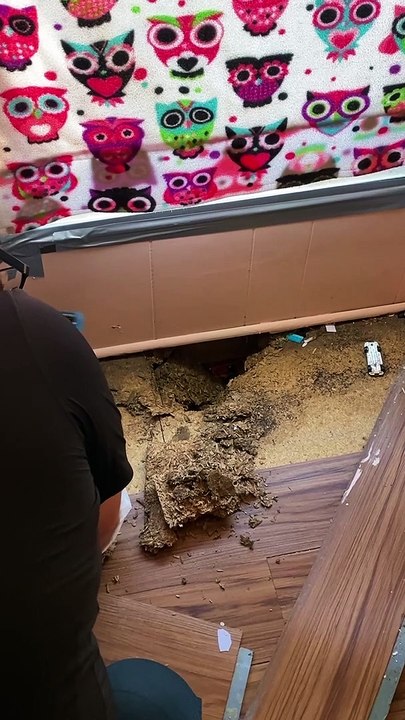 Bedroom Floor Kitten Rescue