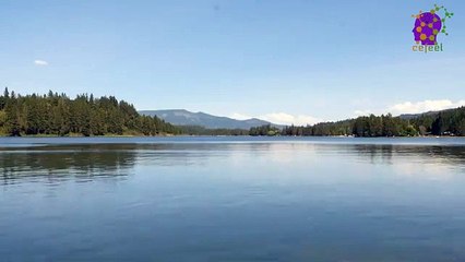 15 Minute Nice Soothing Music | Healing | Self-love | Concentration | Study | Positive Energy | Calming Down | Being in Present Moment | Anti-Depression