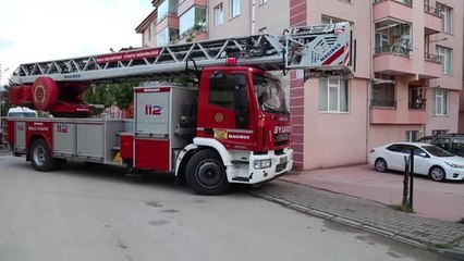 Son dakika haberleri! Balkona düşen ebabil kuşunu itfaiye kurtardı