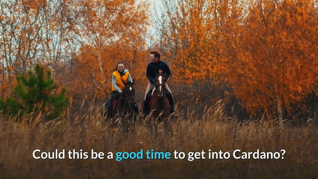 Crypto News - Is Cardano A Good Investment Now? - Bitcoin News