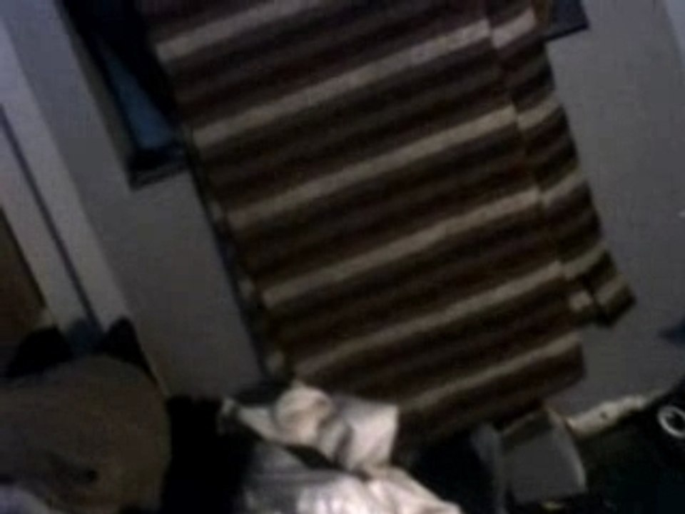 Daily news T.V. is back