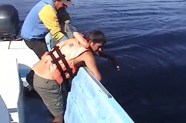 Sauvetage d'une baleine dans un filet de pêche