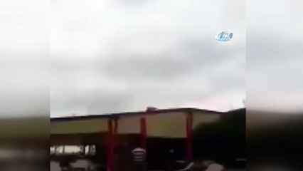 Kedi rüzgarda toplanan Türk bayrağını açtı