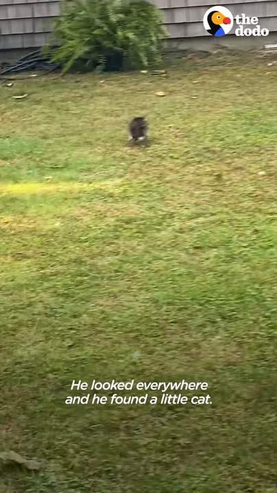 Phone-Sized Kitten Turns Guy Into A Cat Person