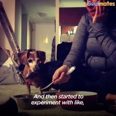 Dog And Her Mom Have The Sweetest Dinner Routine