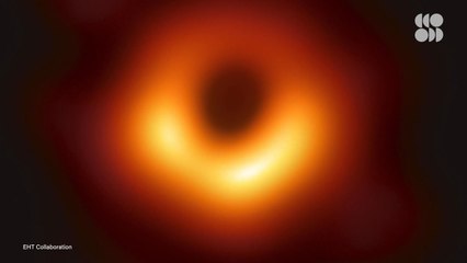 For the Very First Time, We Can See a Black Hole's Magnetic Fields