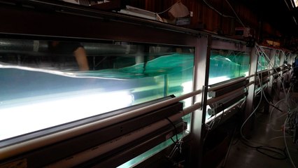 This Ocean Lab Is Uncovering the Mysterious Link Between Microbes and Climate