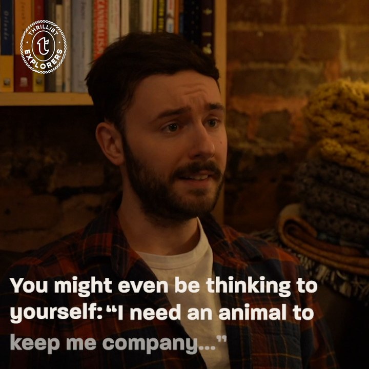 Thrillist Explorers: Qoobo