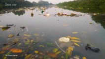 Could Ocean Cleanup’s New Interceptor Help Solve Our Plastic Problem?