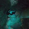 Thrillist Explorers: Underwater Tunnel