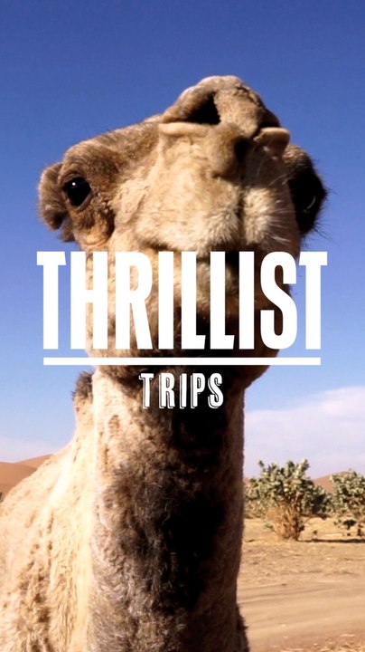 THRILLIST TRIPS MAIN - Mobile