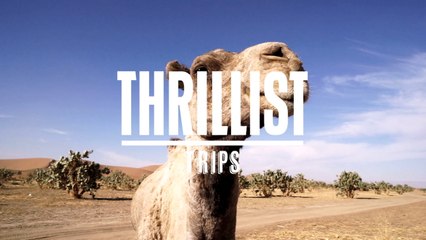 MARRAKESH Main Thrillist Trips - Desktop