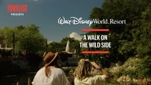 See & Do- WDW
