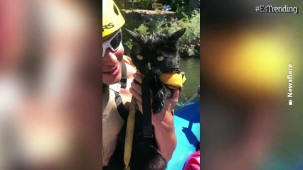 Simón, el gato excursionista que acompaña a su dueño a vivir todas las aventuras extremas