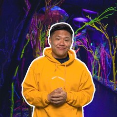 Timothy DeLaGhetto on Tourist Traps That Don't Suck