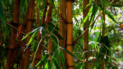Guided Sleep Meditation | The Bamboo Forest | Calm Bedtime Story | Adult, Long, Nature Sounds