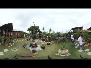 [360] Laman CYCAD | Ilham Impiana 360
