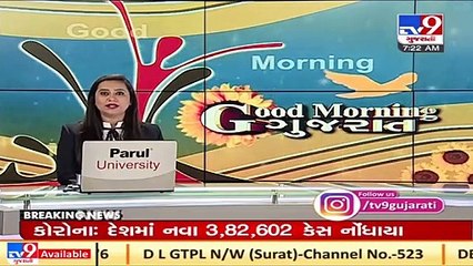 Auction of Kesar Keri begins at Talala marketing yard, Gir _ TV9News