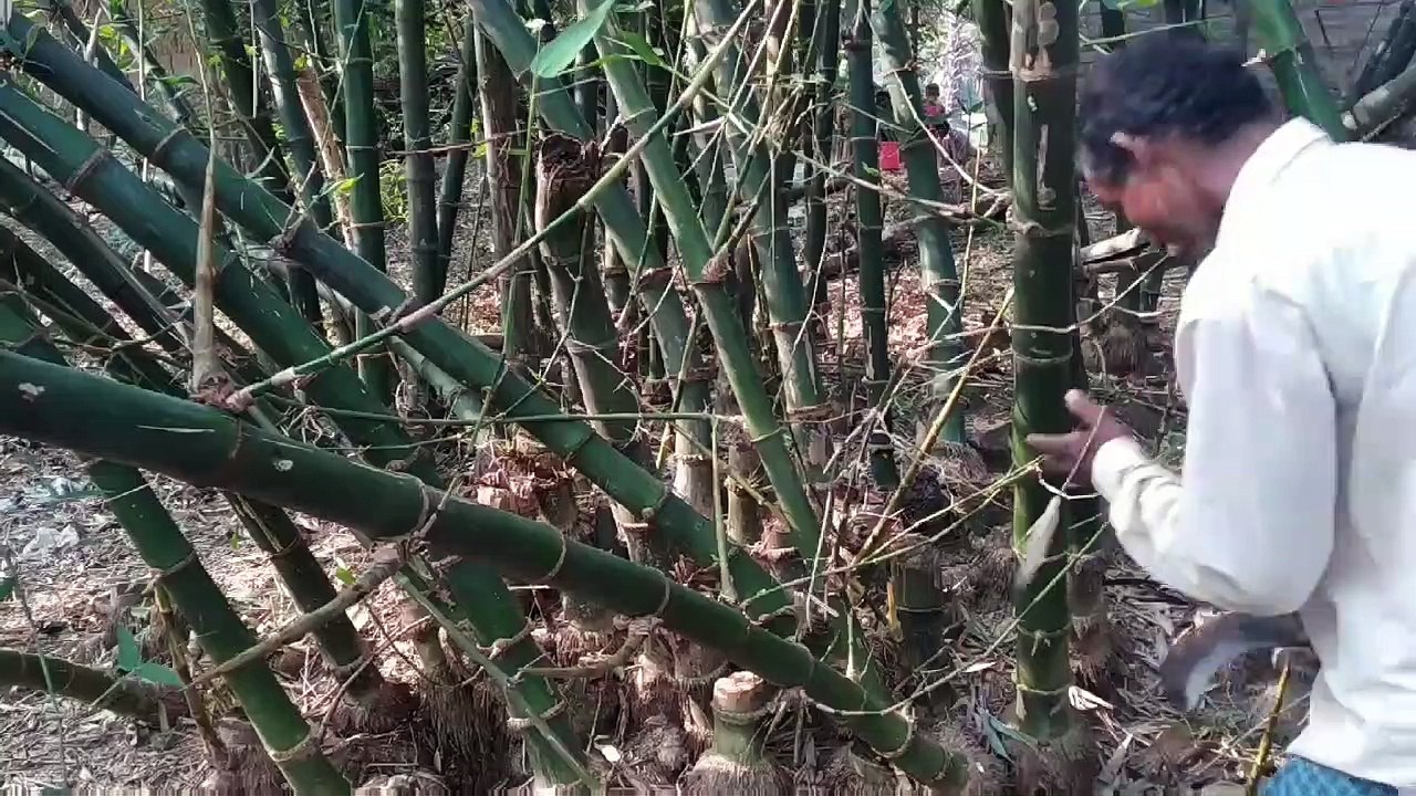 Bamboo Houses  By David Sylvian & Ryuichi Sakamoto.