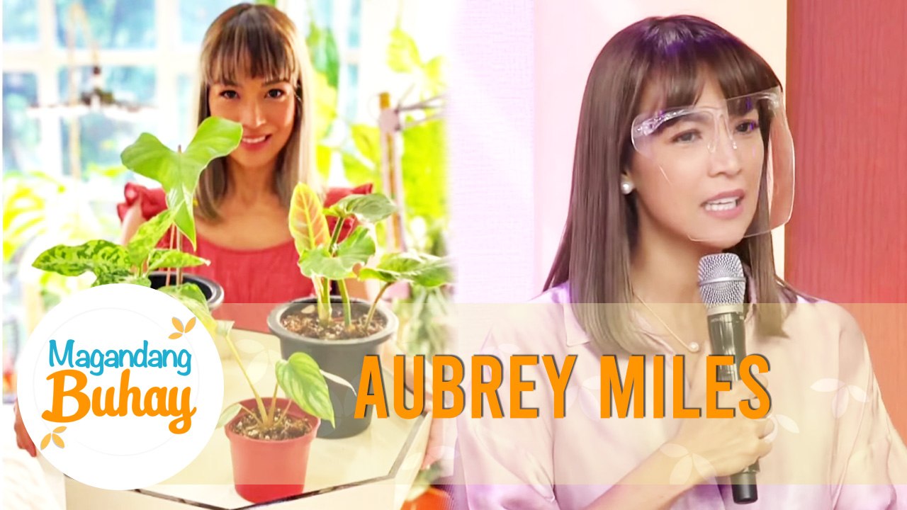 Aubrey reveals that she has been a "Plantita" for 13 years | Magandang Buhay