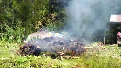 KKB Bakar Sekolah dan Puskesmas di Distrik Ilaga, Papua