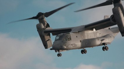 Trident Juncture • 50,000 Strong • NATO Exercise • Highlights