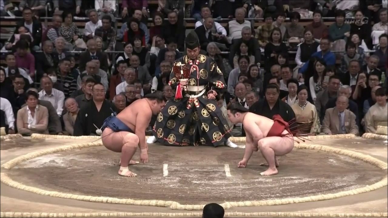 照強 vs 炎鵬 2019年大相撲九州場所14日目 20191123