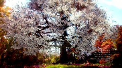 GÊNESIS  04/05/2021 Capítulo 76 Parte Única HDTV Completo