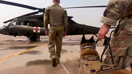 U.S Army • Flight Paramedics & Veterinarians Train with K9 Teams