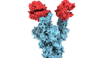 Corona Variant की First image आई सामने, Pin की नोक से भी लाख गुना छोटा । Boldsky