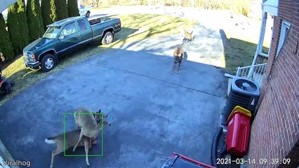 How Blind People Text On Their Phones