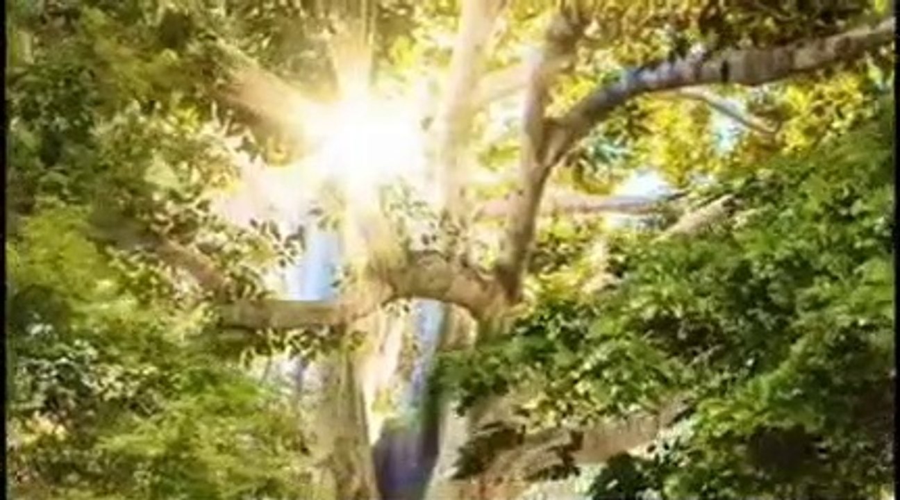 SHOLAWAT_TURI_PUTIH_MERDU[1]