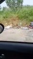 Andria: quei rifiuti abbandonati in Via vecchia Barletta