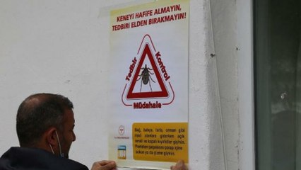 Corona’ya bir de kene kabusu eklendi