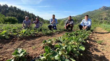 Balıkesir'de çapasını küreğini alan çiftçi tarlasına koştu