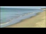 Kadal pulikal video va va enre alikkuthu kadal alai.. - Vidéo ...