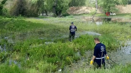 - Bursa'da sinekle mücadele hız kesmiyor