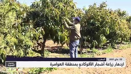 حديث الصورة - 05/05/2021