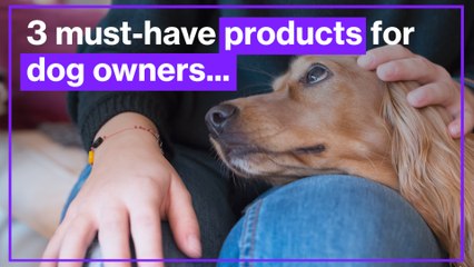 3 must-have products for dog owners