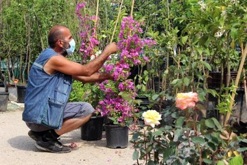 Kısıtlama günleri en çok onlara yaradı