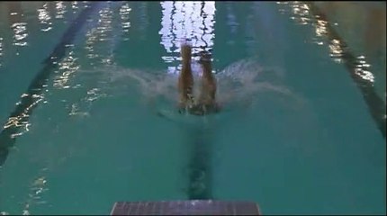 Les Toits de Paris Film (2006)