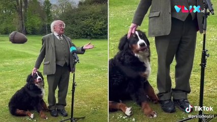 Presiden Irlandia Diganggu Anjing saat Wawancara TV