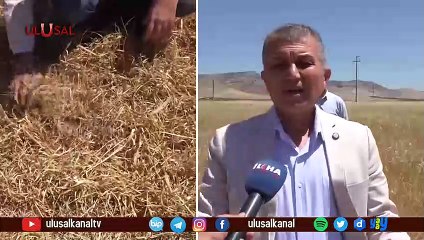 Güneydoğu kuraklık felaketi yaşıyor