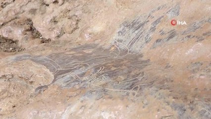 Mersin'de bir mağarada bulunan 8 bin yıllık kaya resimleri için ilk adım atılıyor