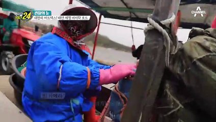 갯벌을 달리는 대한의 머드맥스! 제철 맞은 바지락 전쟁