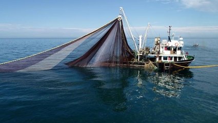 Balıkçılardan ilginç av! Hamsi ararken şamandıra buldular