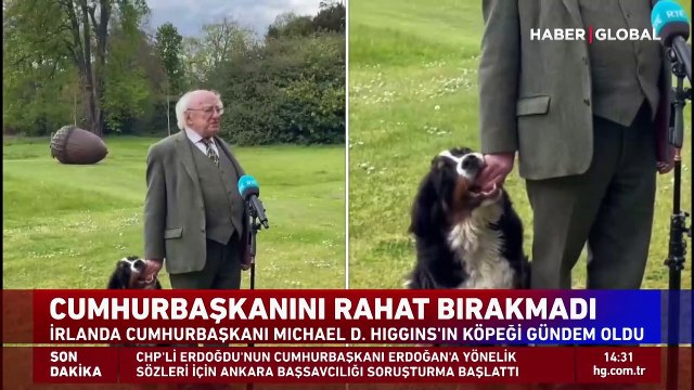 İrlanda Cumhurbaşkanı Mıchael Higgins'in köpeği gündem oldu